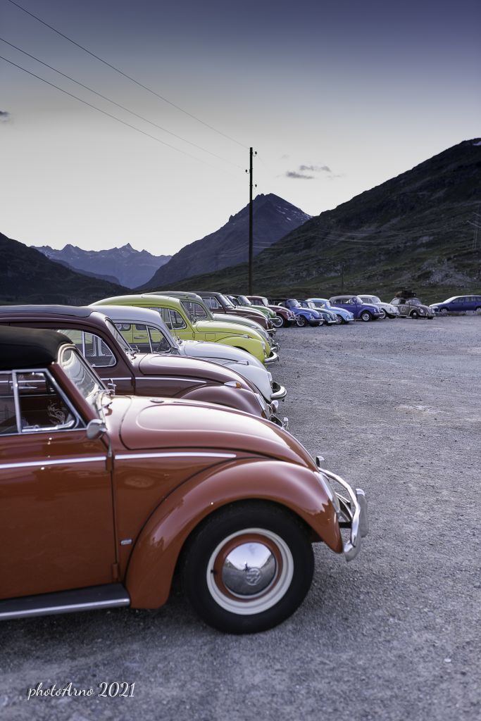 Käfer Ospizio-69.jpg Res 4323 A8d78b00486f84d31e43fcc5c0efe764