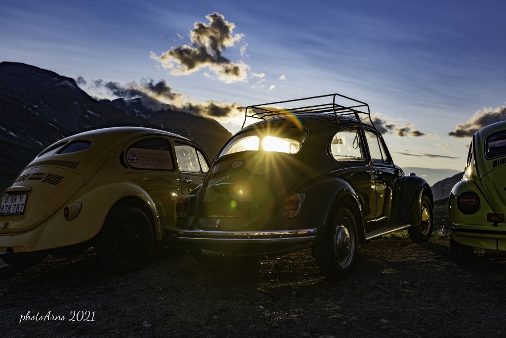 Käfer Ospizio-120.jpg Res 4323 A996b6fea01e428122cc4d024250494c