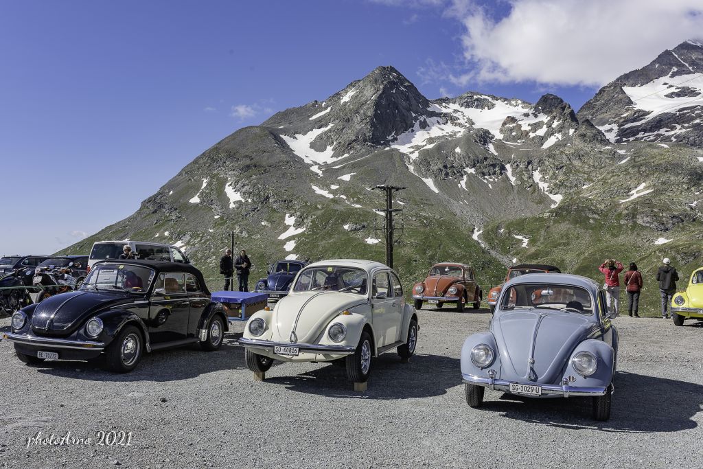 Käfer Ospizio-131.jpg Res 4323 Afc3557a046a57bb0b50b2eac57979b3