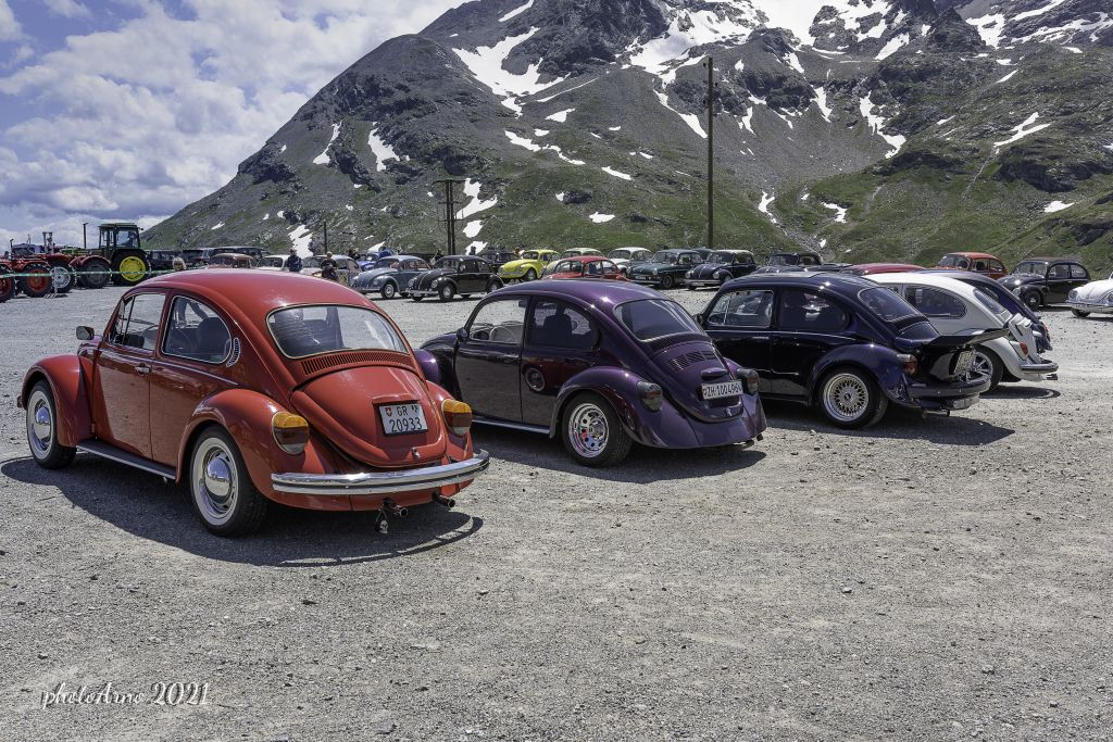 Käfer Ospizio-96.jpg Res 4323 B430ac1e0112282af66601bb8985a2f2