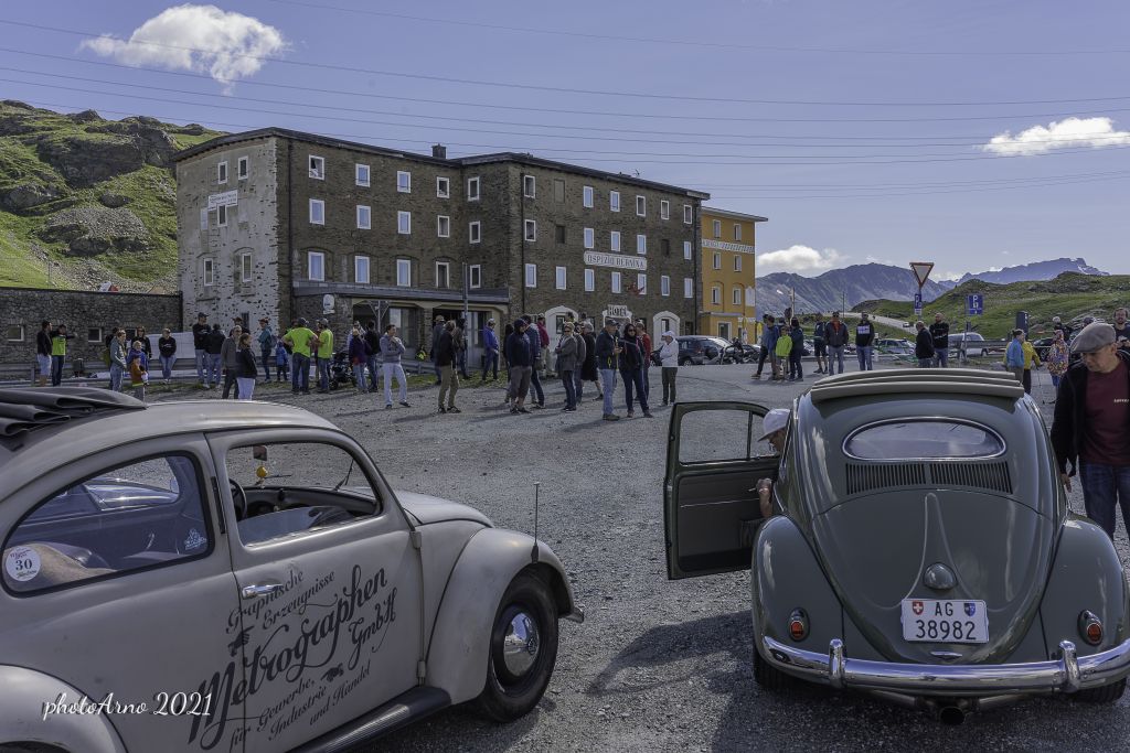 Käfer Ospizio-128.jpg Res 4323 B8c64629315684621144ce1a75f58d0e