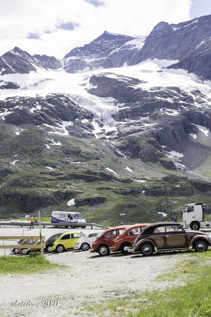 Käfer Ospizio-3.jpg Res 4323 C1a2136e5859d87647e680861fa2f38f