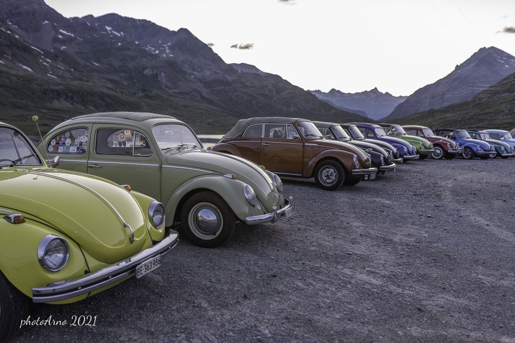 Käfer Ospizio-68.jpg Res 4323 C5657ef1cf757a2dffaa9a133519db26