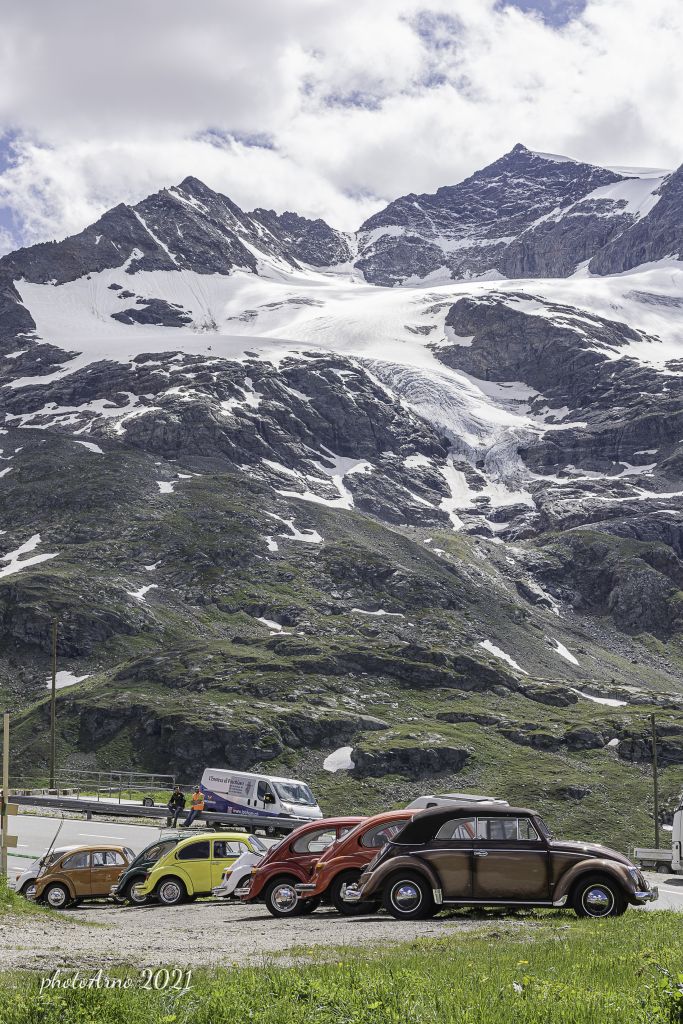 Käfer Ospizio-6.jpg Res 4323 C7e0376414eb995a3e53a18e1a9eaae7