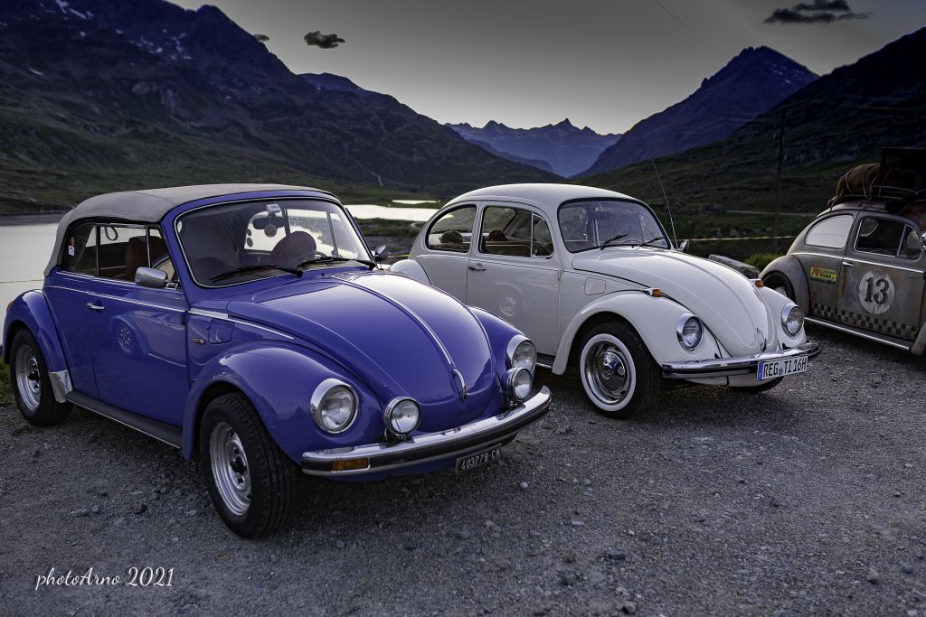 Käfer Ospizio-66.jpg Res 4323 Cdcae61eaf475c68393825346dfd9c27