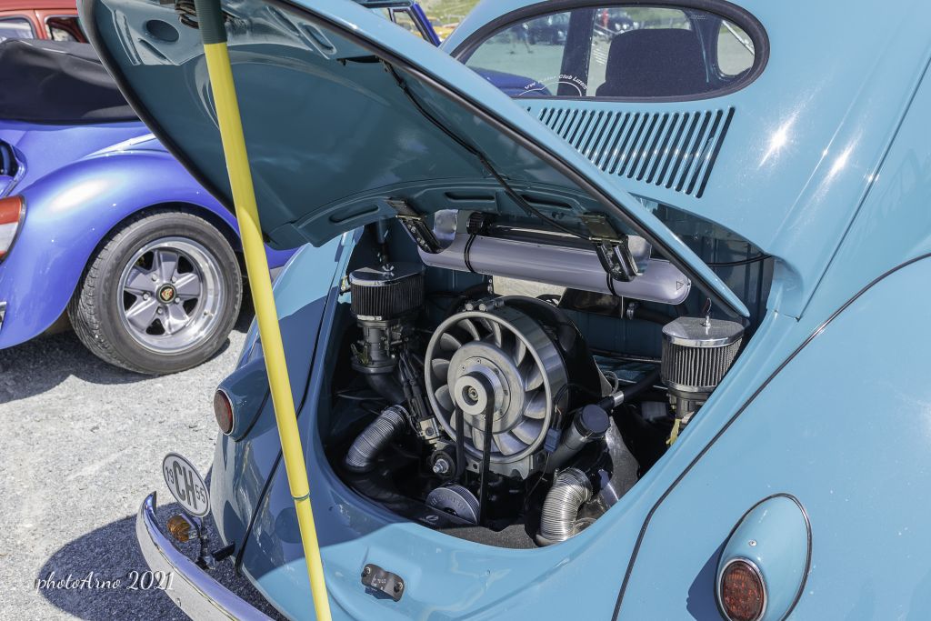 Käfer Ospizio-88.jpg Res 4323 D0825c882edb5d01b8e131c027e74231