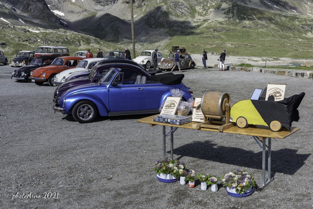 Käfer Ospizio-124.jpg Res 4323 D904b4baa2ca06a005e624eb90236710