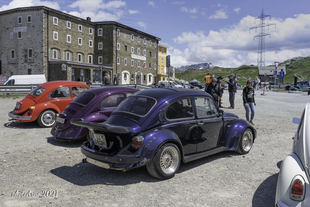 Käfer Ospizio-98.jpg Res 4323 Dae7a44accc7b015954eb25aef7340ad