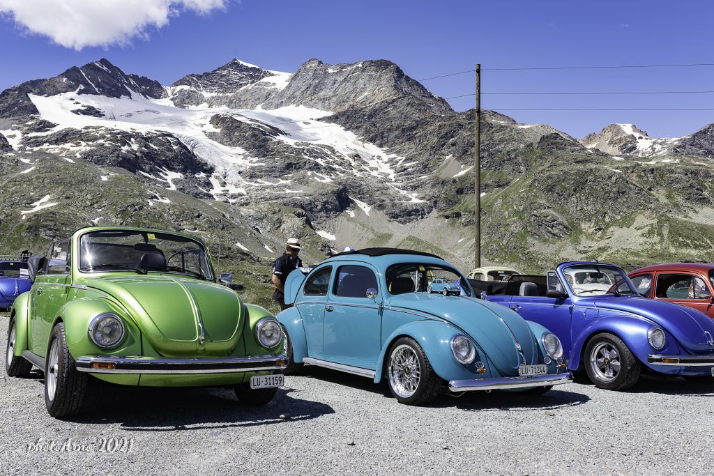 Käfer Ospizio-87.jpg Res 4323 Dc9543b09c28a660c1e6dad00c0a066b