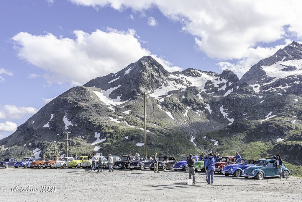 Käfer Ospizio-14.jpg Res 4323 E40f15c2cc686991d2f46607284eaef3