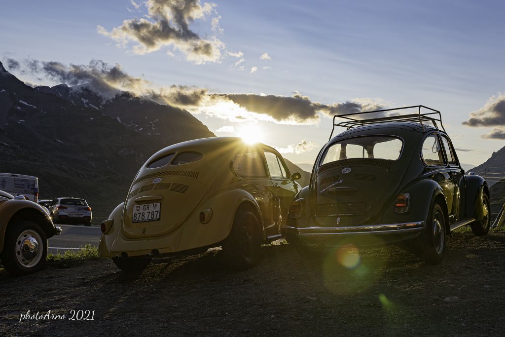 Käfer Ospizio-119.jpg Res 4323 E80a19ba4d5f5e7df90be2fc50b7a3e3