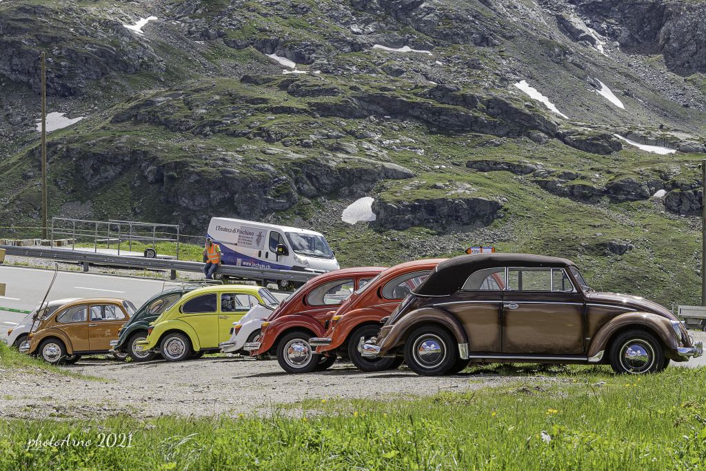 Käfer Ospizio-4.jpg Res 4323 F8d9bf6fbae529253d7d4869dd8ab6eb