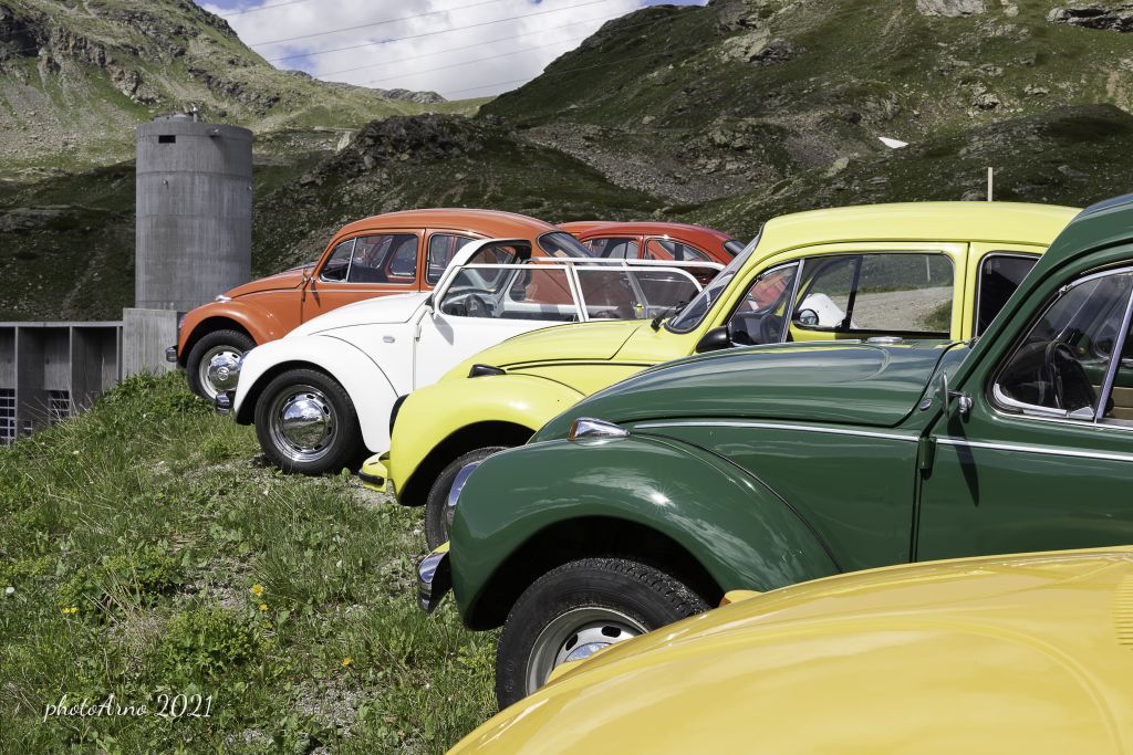 Käfer Ospizio-11.jpg Res 4323 Fad987523f7a846f878793a5d336693f