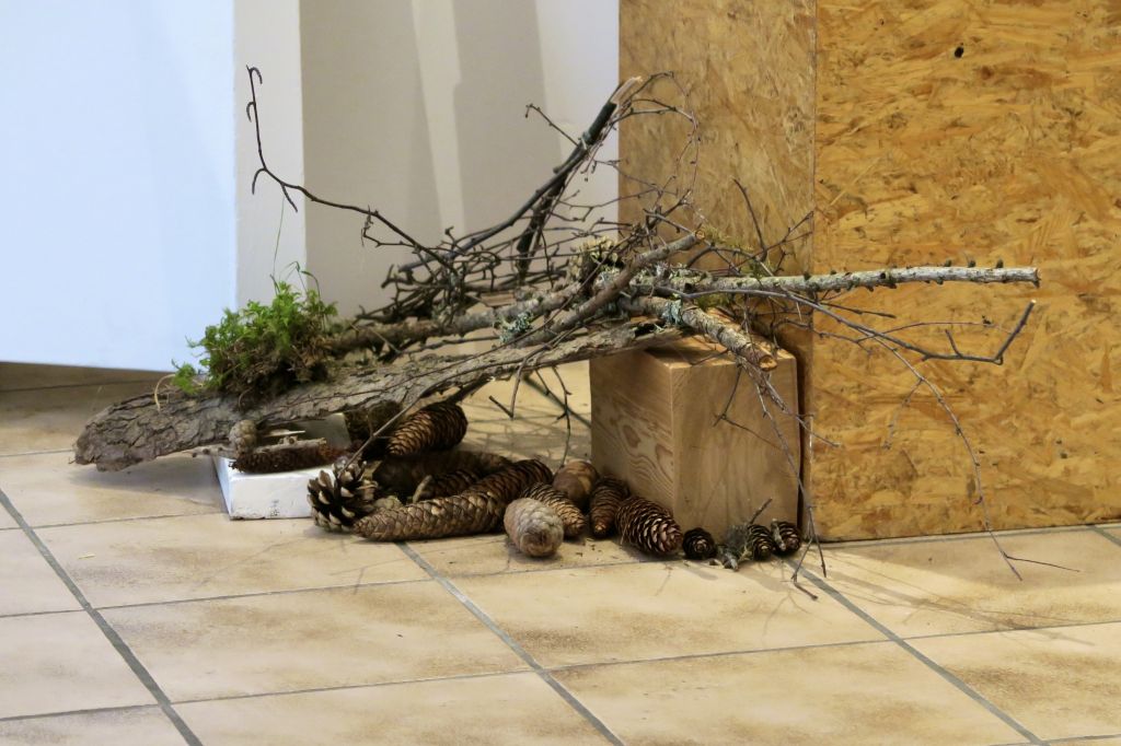 Espressioni Vassella 2021_7882.jpeg Res 4436 7109f0a1b8d840afd4b90bf1b408f85a