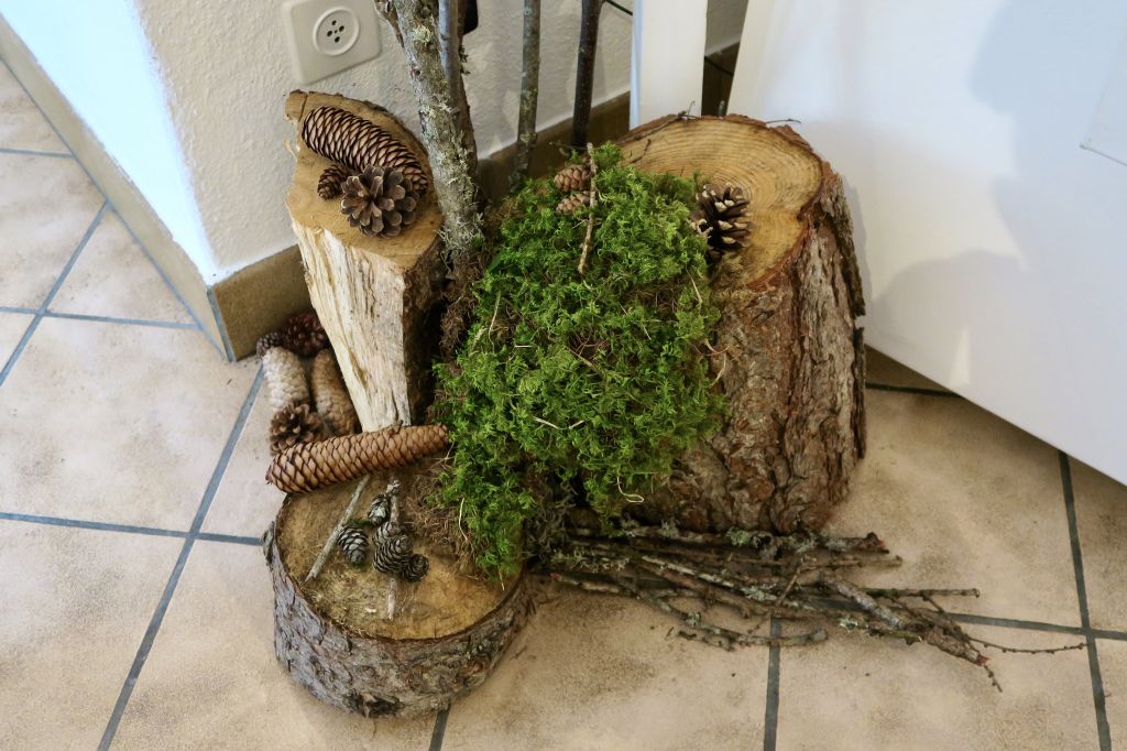 Espressioni Vassella 2021_7886.jpeg Res 4436 E72039d13f488c8c7db42f0b15afe530