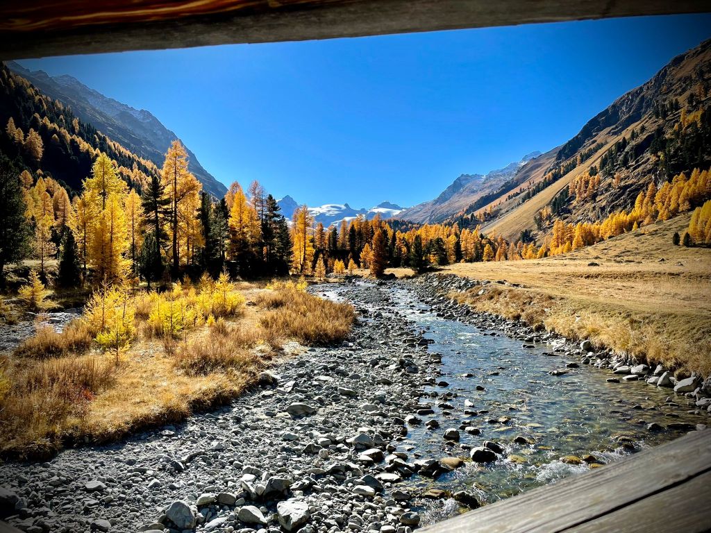 Arianna-Fighera-20211028-WA0014.jpg Res 4461 026e8ff4e121ba459192079a86e20fe4