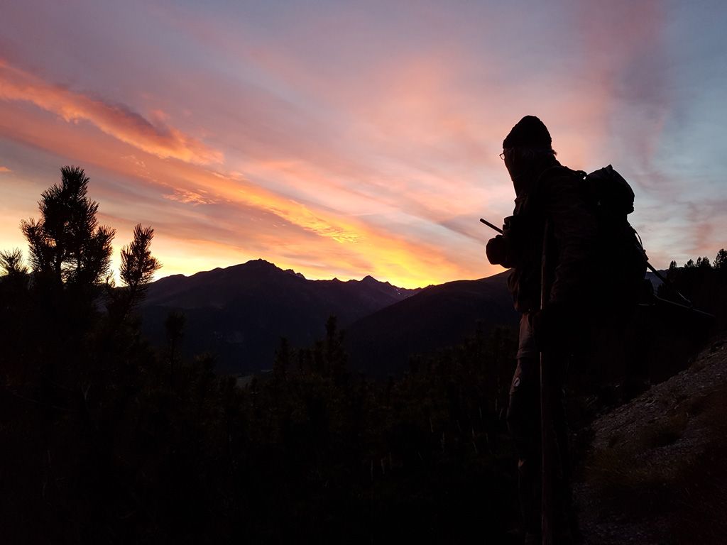 Vincenza-Demonti_20210922_192956.jpg Res 4461 102ed29396b156761fe738fa5b499f09