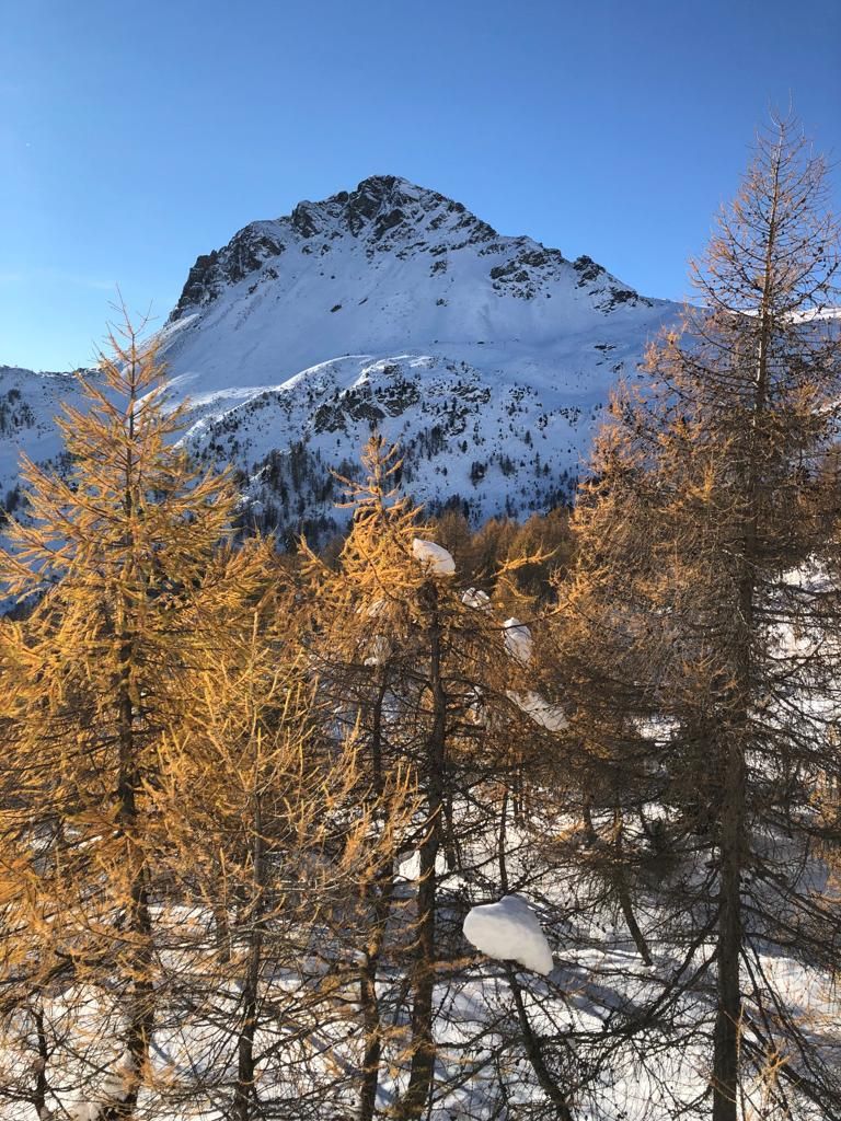 Paganini Bernardo_003.jpg Res 4461 11b706aedb88ad639677e5e9d0d3c7ae