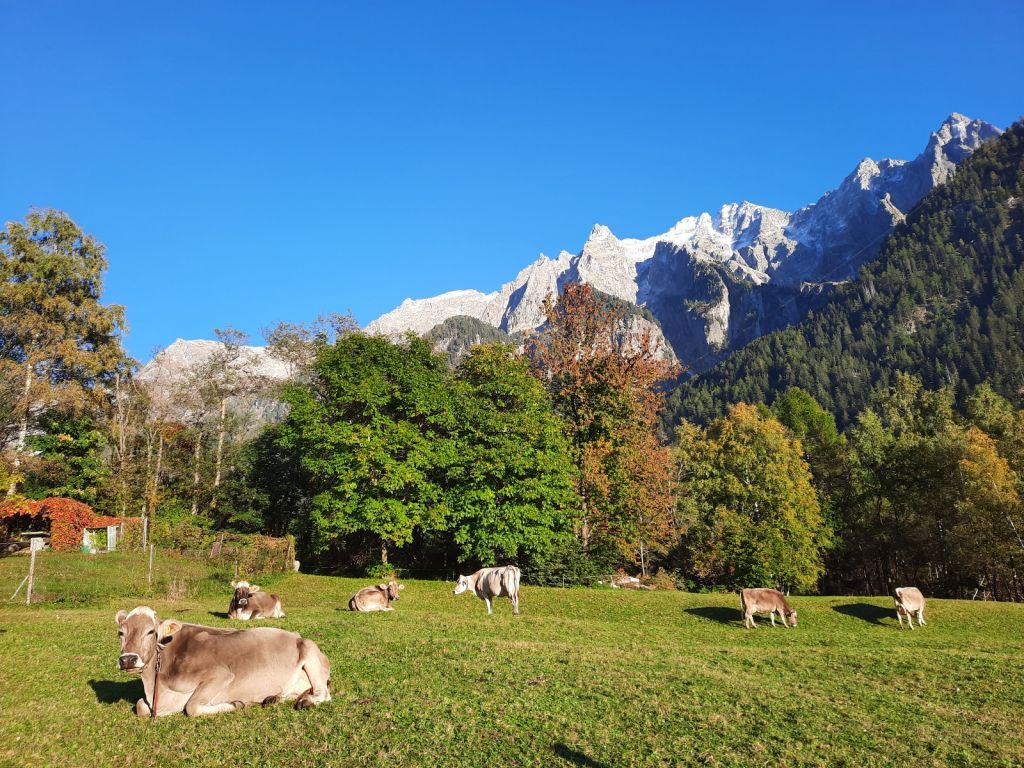 FabioSciuchetti07.jpg Res 4461 121b41d6e53ba2f2e81a7762803bd793