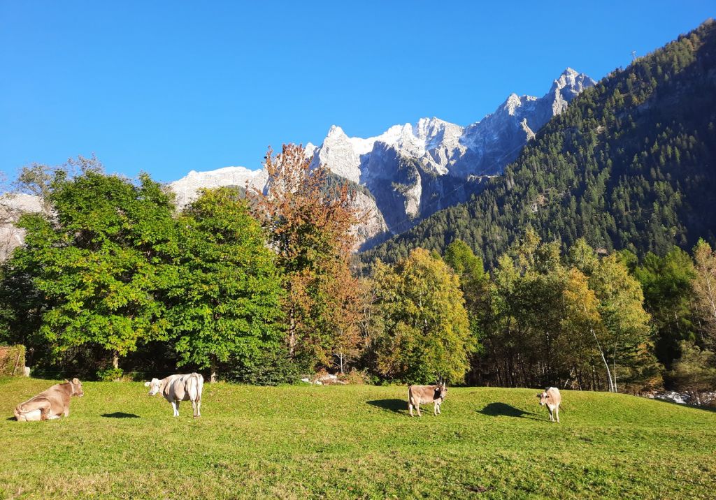 FabioSciuchetti06.jpg Res 4461 1fb675eedf6447c0f4a28f853836b023