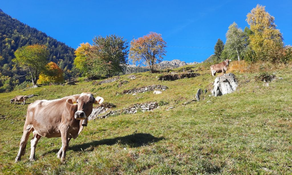 FabioSciuchetti04.jpg Res 4461 21ff71efeadbf5019500e4f84093d71c