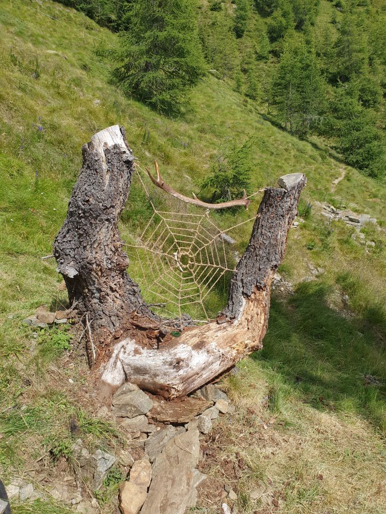 maurizia-Zala-20210815_150957.jpg Res 4461 23fe9f623bd7d621614c2d73256190f0