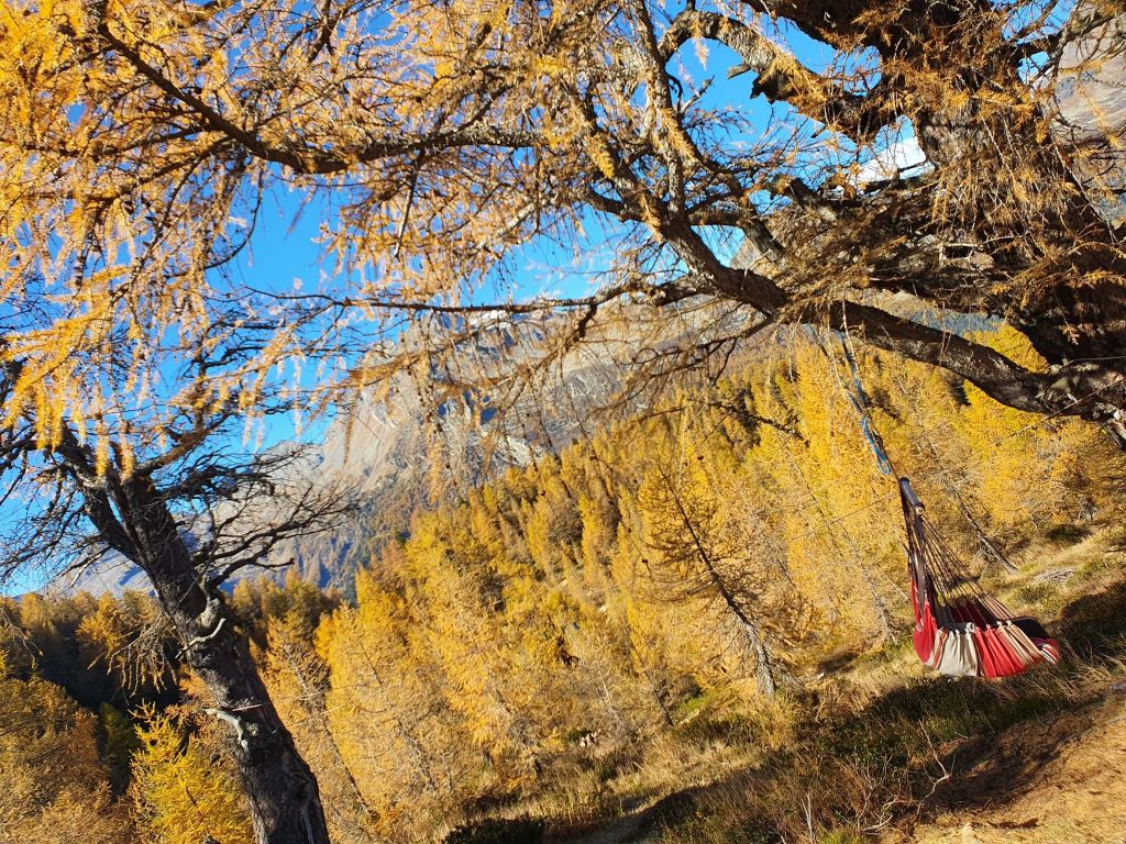 Caterina-Succetti-147D37E1-DD0C-4D95-B90C-872A4275AA22.jpeg Res 4461 25165a8ba3b5ea9235d097e7a96823e0