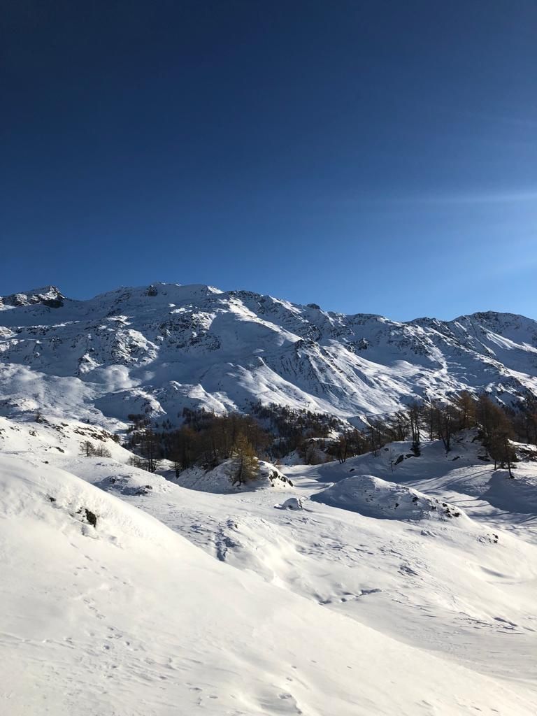 Paganini Bernardo_004.jpg Res 4461 2cb27157956bbdd83ce688492eabe3d3