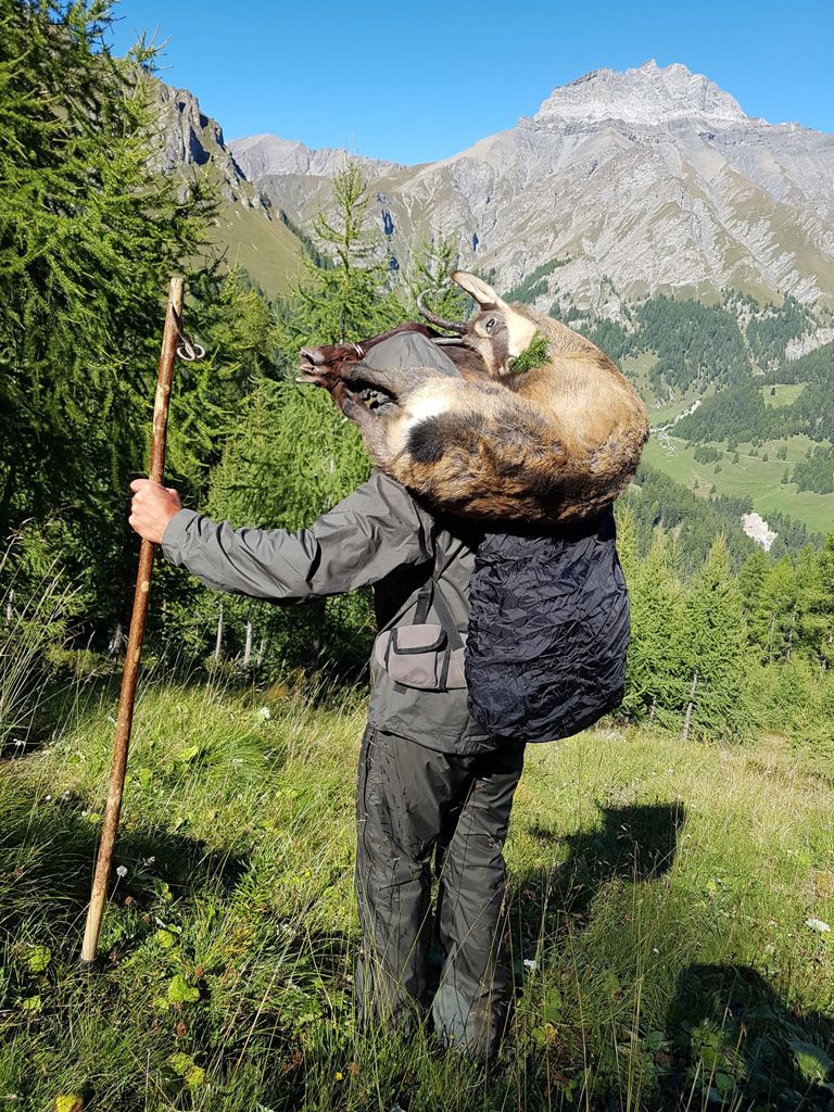 IMG-Vincenza-Demonti_20210925-WA0035.jpg Res 4461 33c14d39033adb227cc9f8b474356bba