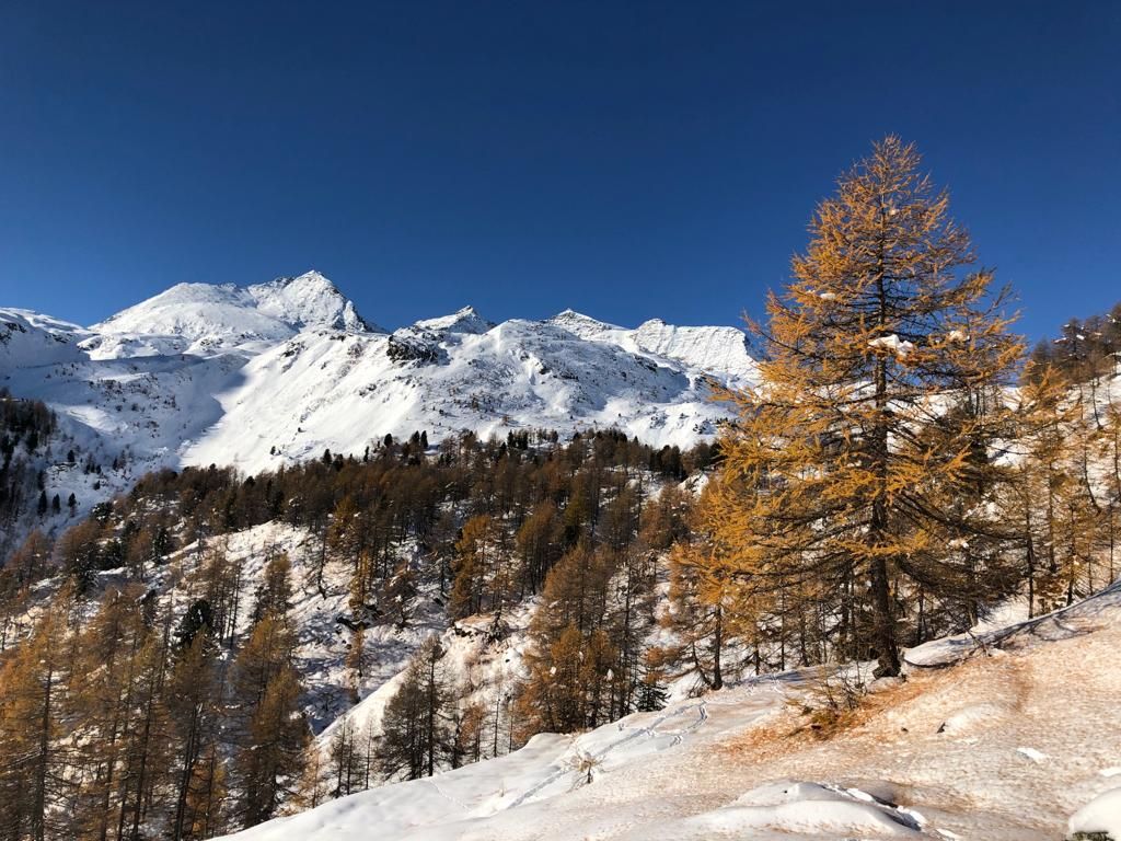 Paganini Bernardo_002.jpg Res 4461 39e44b8e442f3cc1bf7f6d2e71b40226