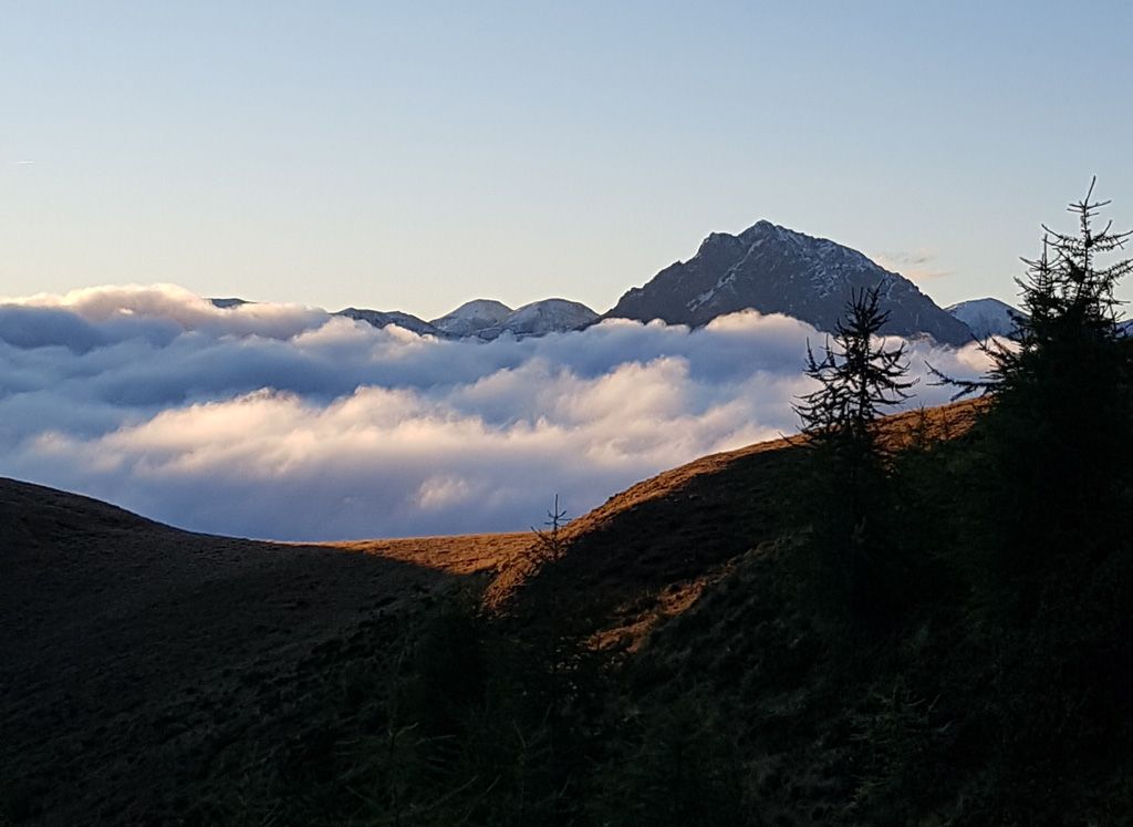 Vincenza-Demonti_20210921_085048.jpg Res 4461 3bf32a649bea04348ed6ebd6631daa0d