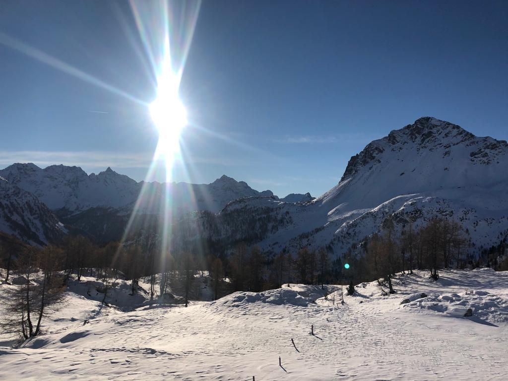 Paganini Bernardo_005.jpg Res 4461 41f676905eb826842de02630e69e0d44