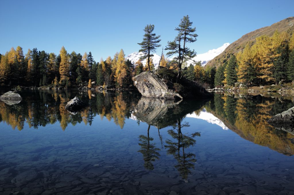 Luigi-badilatti_1009625.jpeg Res 4461 4b919731369c87396dae48a15dd23a7d