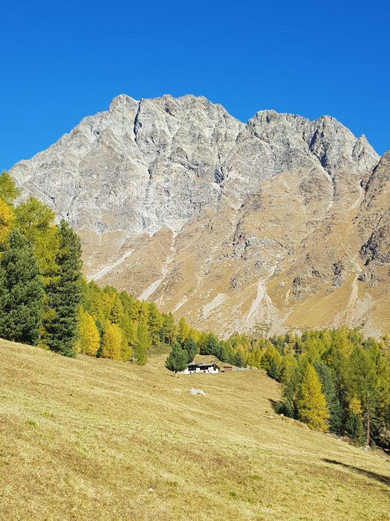 Crameri-Delia_20211017_110414.jpg Res 4461 4c48ada1dd8b0b2c535bef7a55cb02dc