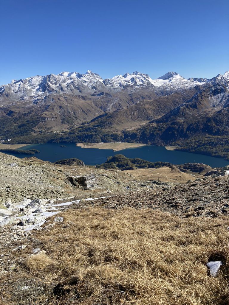 Marcella-Costa_45.heic.jpg Res 4461 4d976557bc58b05407023a04322375be