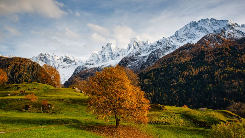 Grigioni-italiano.jpg Res 4461 4fc2aa0f2912ec27bf72f3bfe115ef3d