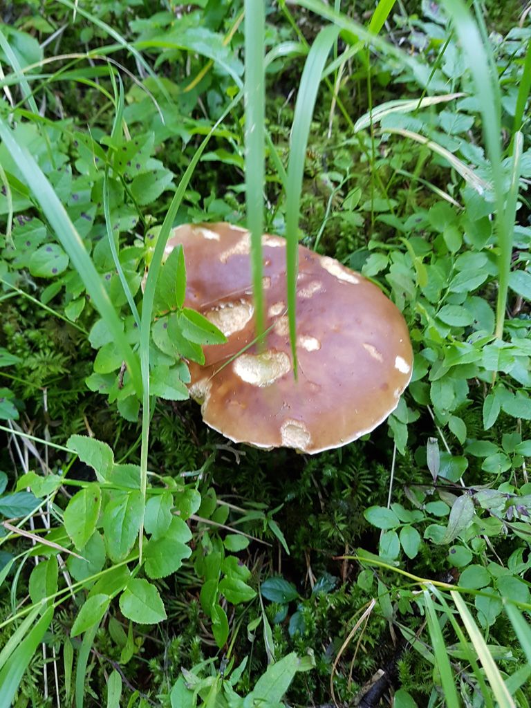 Vincenza-Demonti_20210905_185107.jpg Res 4461 576af3c2587ed9241fd163173a1914bc