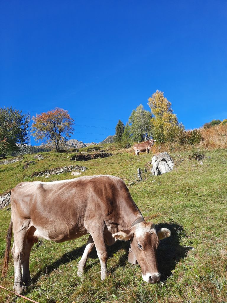 FabioSciuchetti02.jpg Res 4461 59b3a4442220358dc21b319851ffbdc1