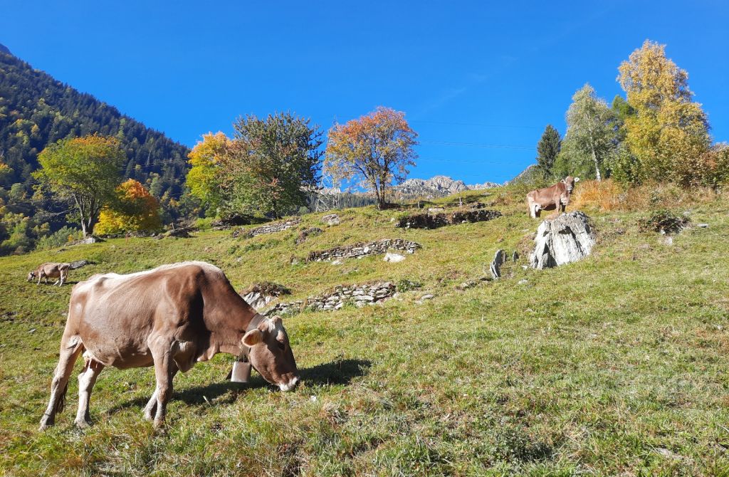 FabioSciuchetti03.jpg Res 4461 604172668727074da40db7d80227e3c0