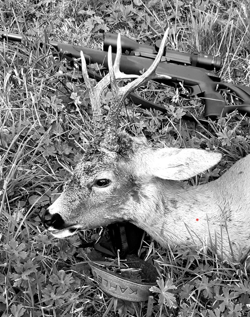 Jolanda-Paganini-20211012-WA0006.jpg Res 4461 7351f3d70a1c641b7a66aecbb1b244e9