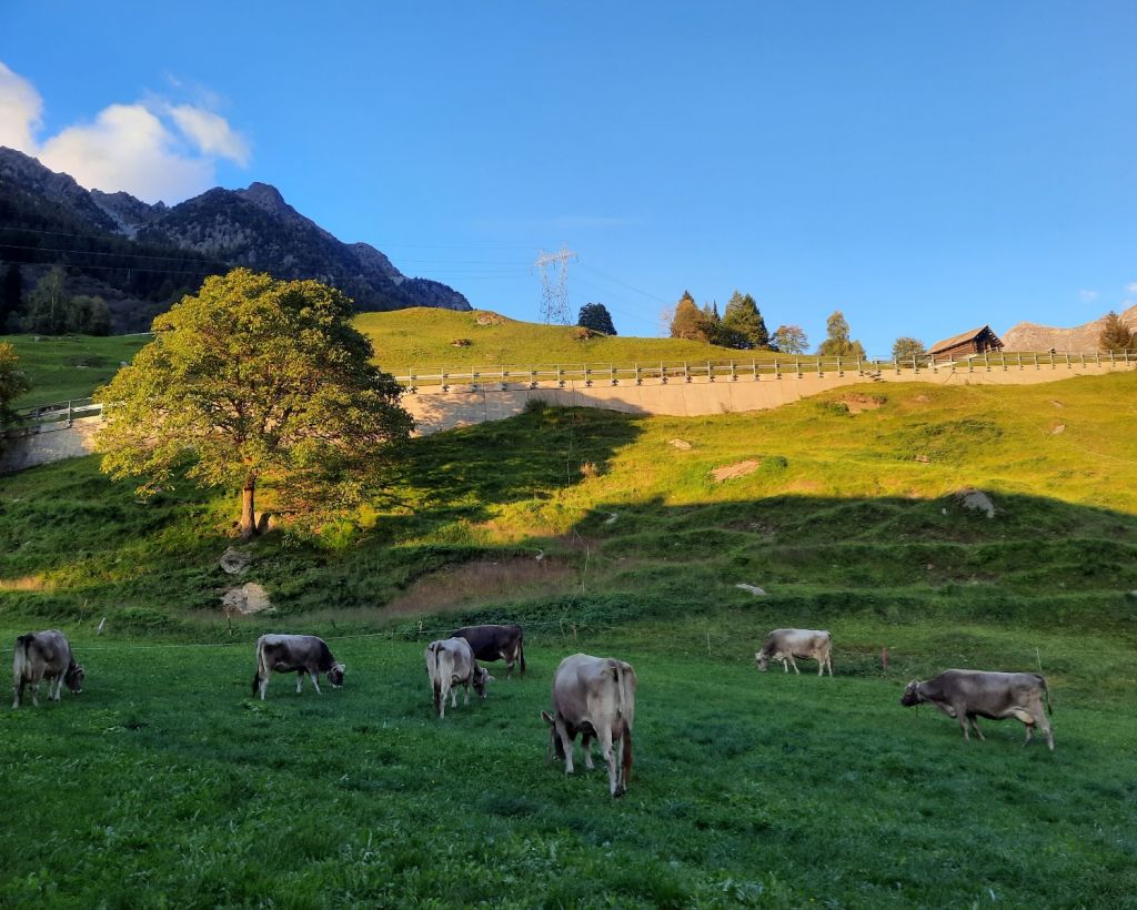 FabioSciuchetti10.jpg Res 4461 78d92258772a63ec07cc56da728ab6a7