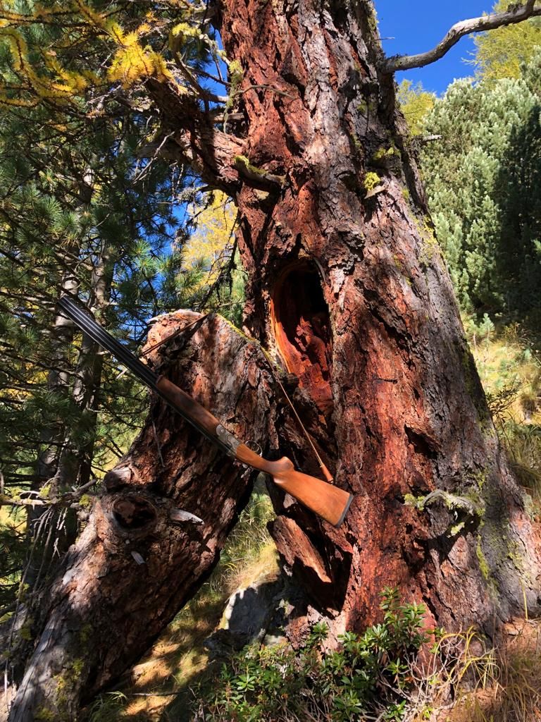 Paganini Bernardo_001.jpg Res 4461 79c260b9a961dfbba1c64a1dcc16e6cf