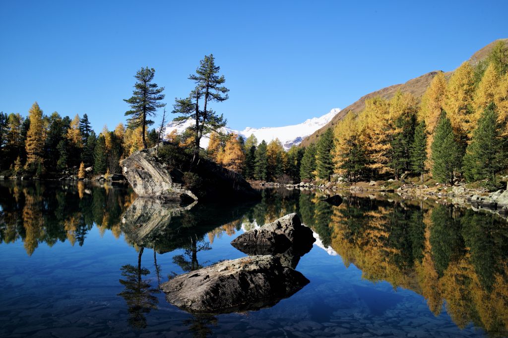 Luigi-BAdilatti-1009627.jpeg Res 4461 7f2fdeecc117467a3120e2bde79dd5f8