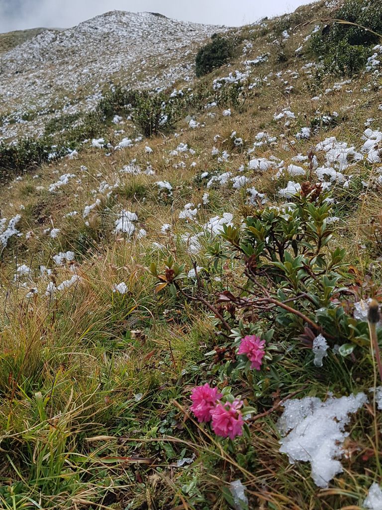 Vincenza-Demonti_20210920_092612.jpg Res 4461 7fddbdfeae35b7f0a80e50982c60457a