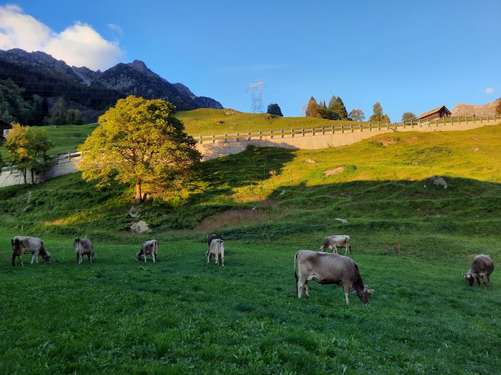 Fabio Sciuchetti 001.jpg Res 4461 8df84a99f9571846122458e29840fd16