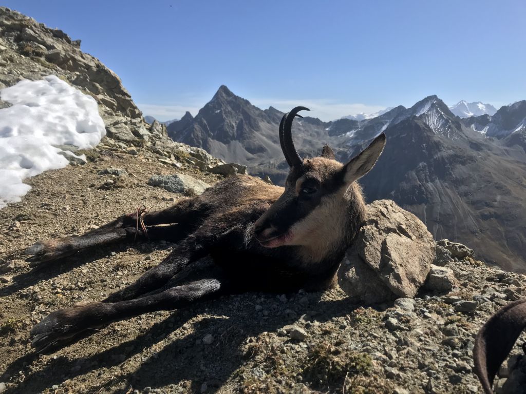 Stefano-Plozza__5843.jpg Res 4461 8e07688bc9477a69f293e6ab938977c8