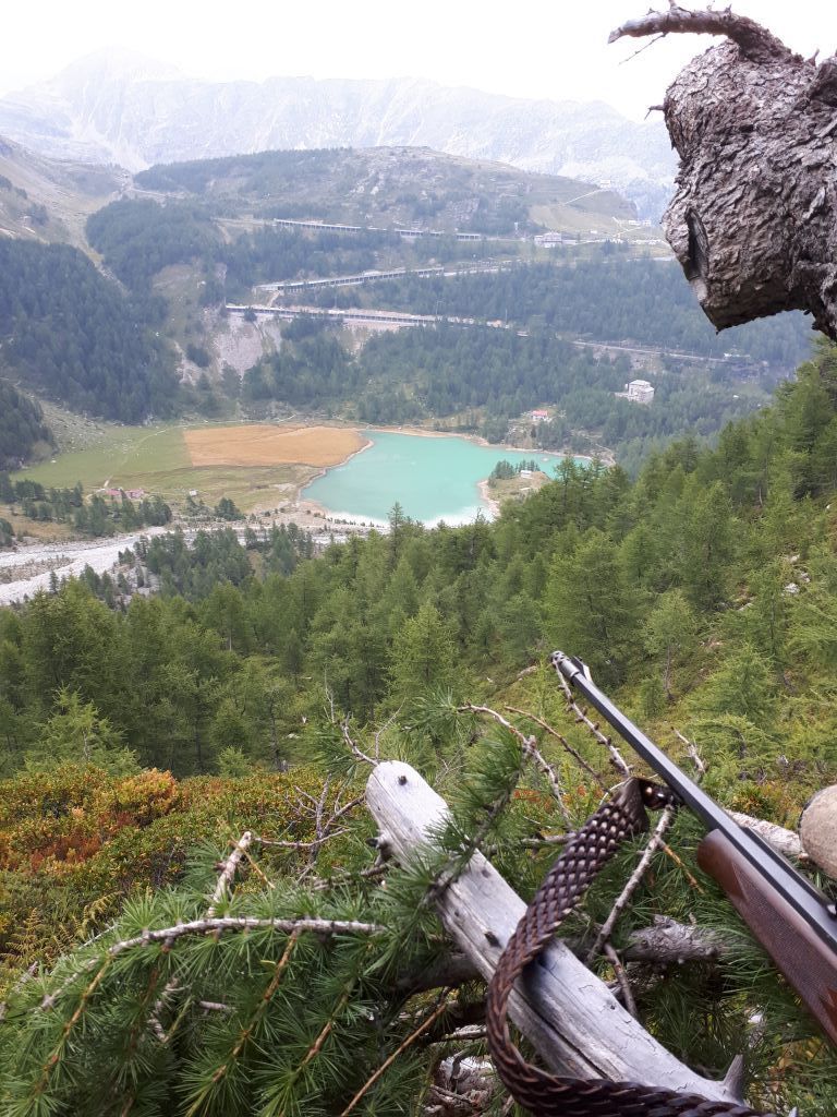 MArcello-Crameri-20210903_184529.jpg Res 4461 917129d2a7e83bbe21cc3170cda1d4cc