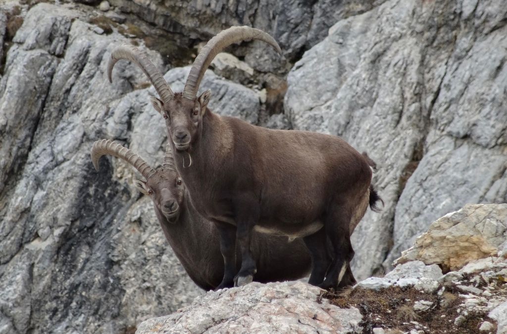 Giorgio-Murbach_1345.jpg Res 4461 9e66cd85664b5593f49a1854cf3269cd