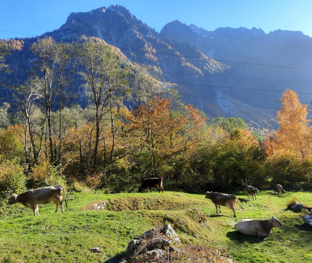 FabioSciuchetti01.jpg Res 4461 A0d4b9c8309bc5129fbe0ef9933fa598