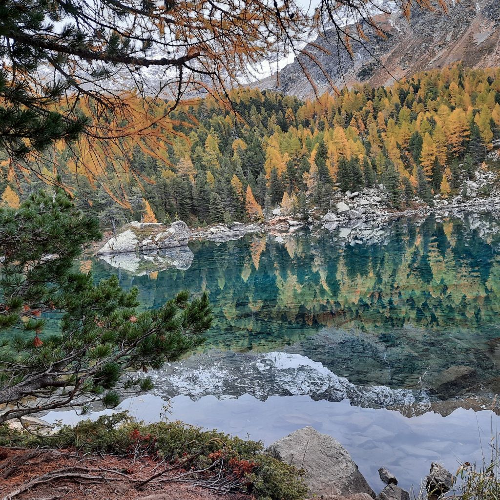 Susi_Tognina_20211019_110315.jpg Res 4461 Afd4b3e0bed50a884d932256185c740f